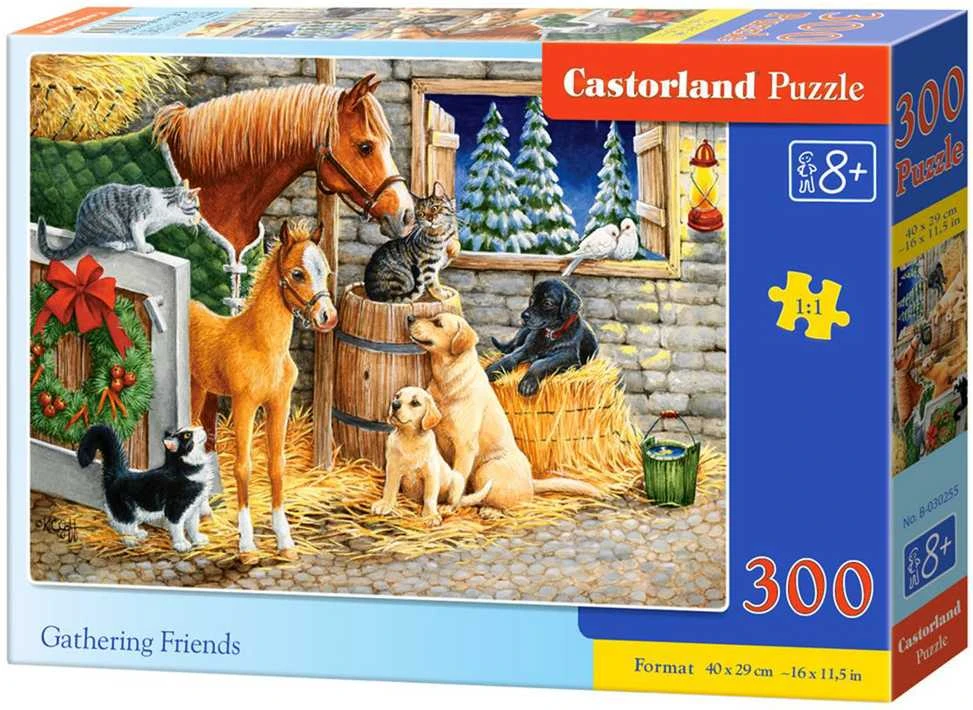 Castorland Dėlionė 300 vnt. - Draugų rinkimas