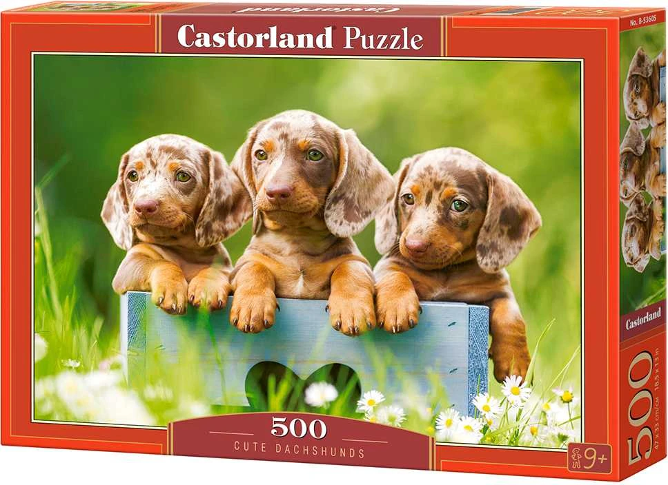 Castorland dėlionė Cute Duchshunds 500 det