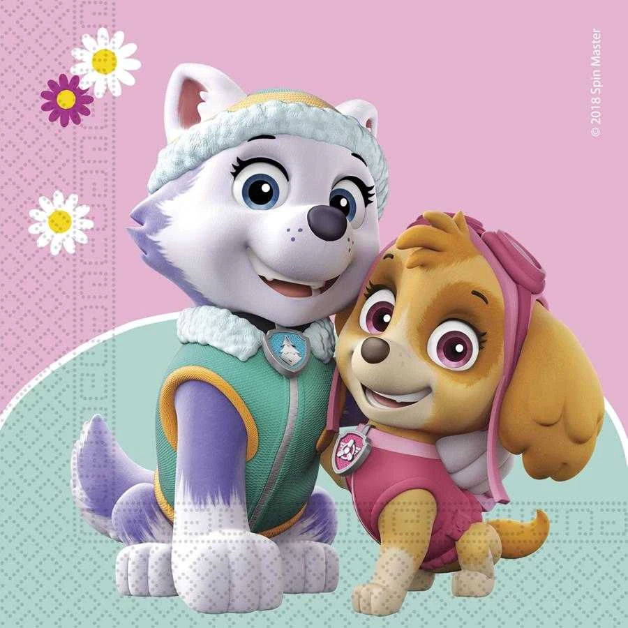 PROCOS Paw Patrol Skye ir Everest gimtadienio servetėlės - 33 cm - 20 vnt. Universalios