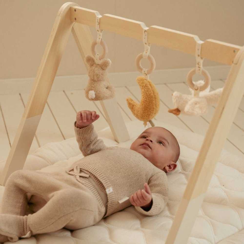 Little Dutch Kūdikių gimnastika ´Newborn Naturals´