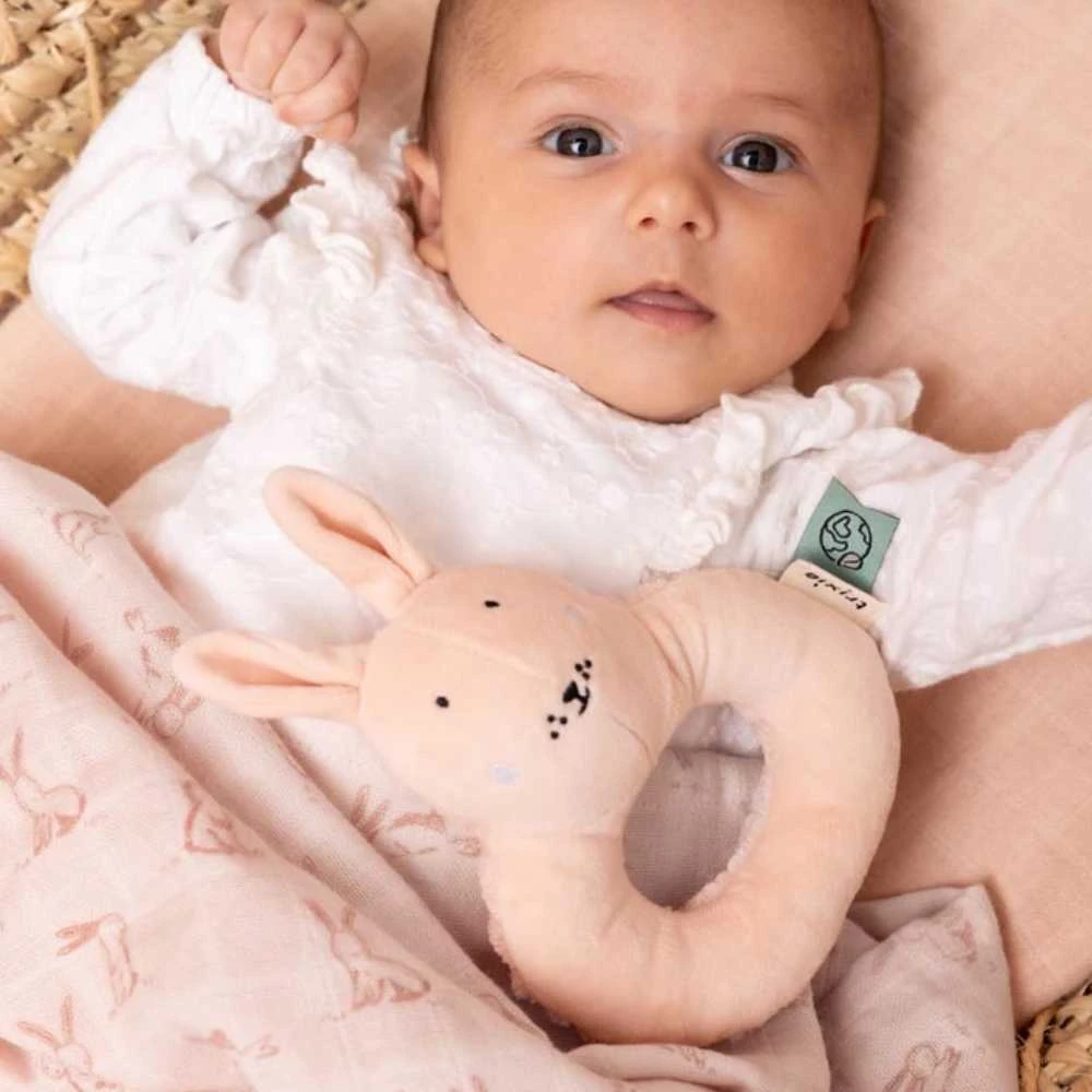 Trixie Barškutis 'Triušis'