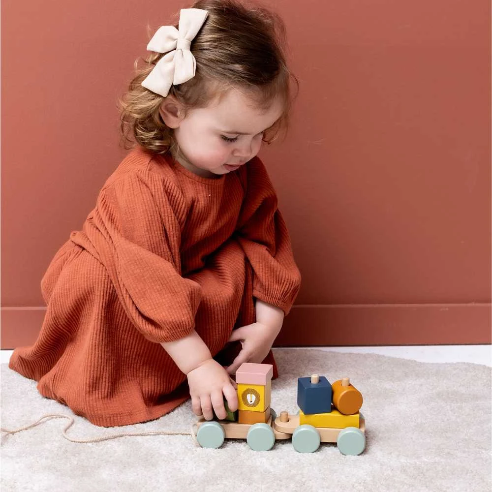 Trixie Medinis mini gyvūnų traukinukas
