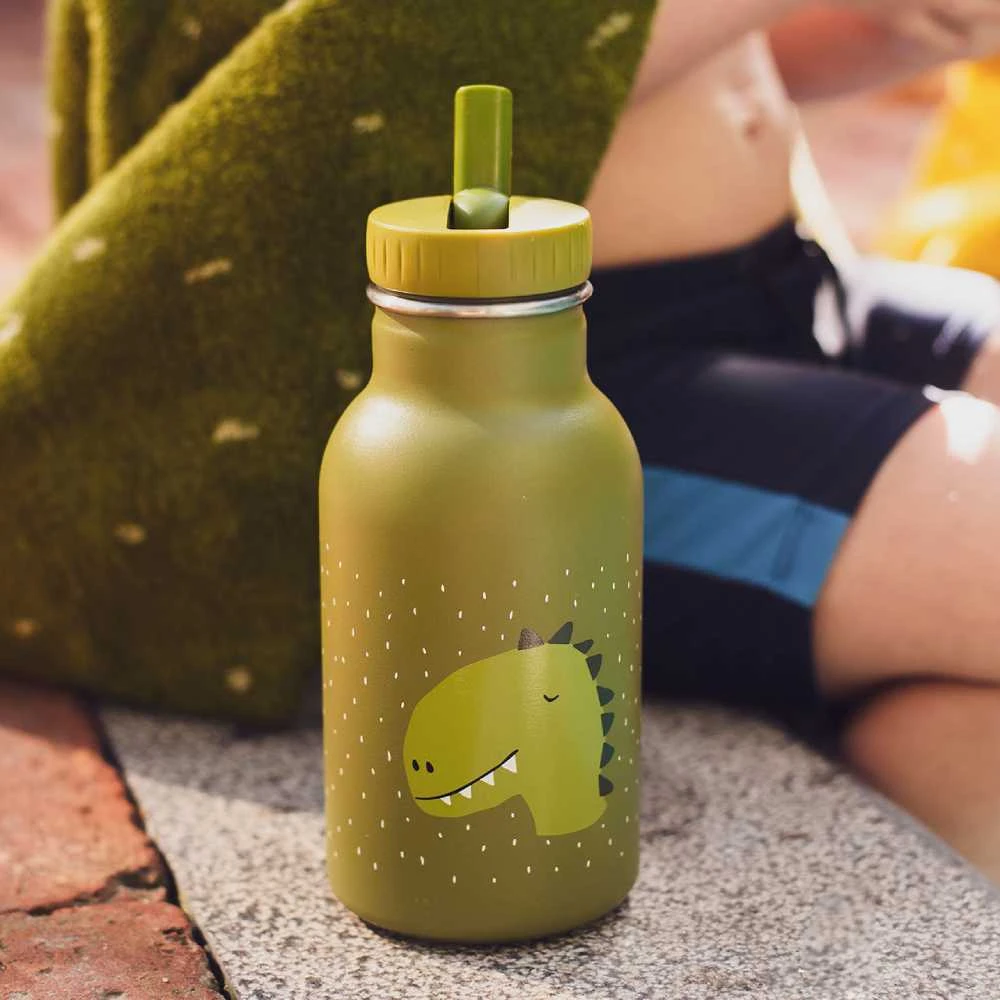Trixie Vaikiškas termosas-gertuvė 'Dinozauras' 350 ml
