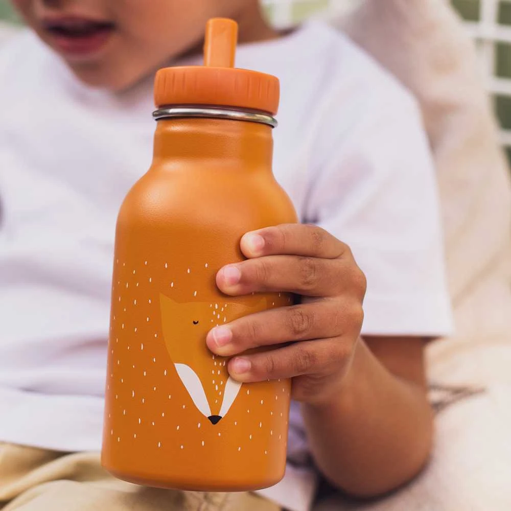 Trixie Vaikiškas termosas-gertuvė 'Lapė' 350 ml
