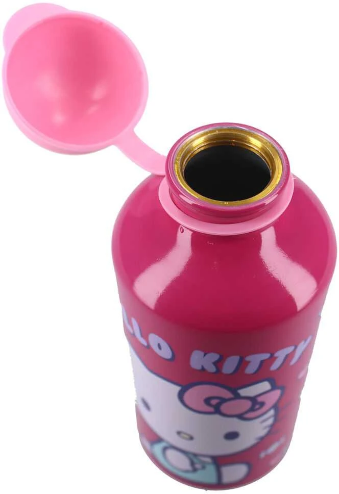 Vaikiška metalinė gertuvė Hello Kitty Really Refreshing