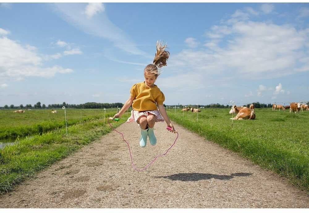 Bs Toys Šokdynė "Rožinė"