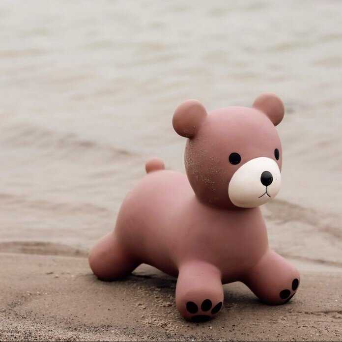 Find That Hippo Pripučiamas šokliukas Meškutė Maja