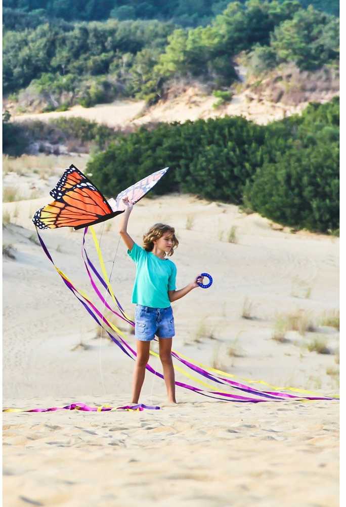 Aitvaras drugelis "Monarch" L