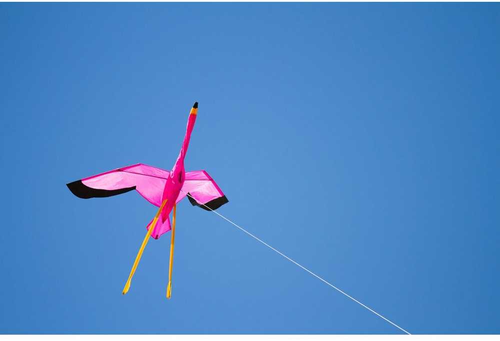 Aitvaras Flamingas 3D 100x135cm