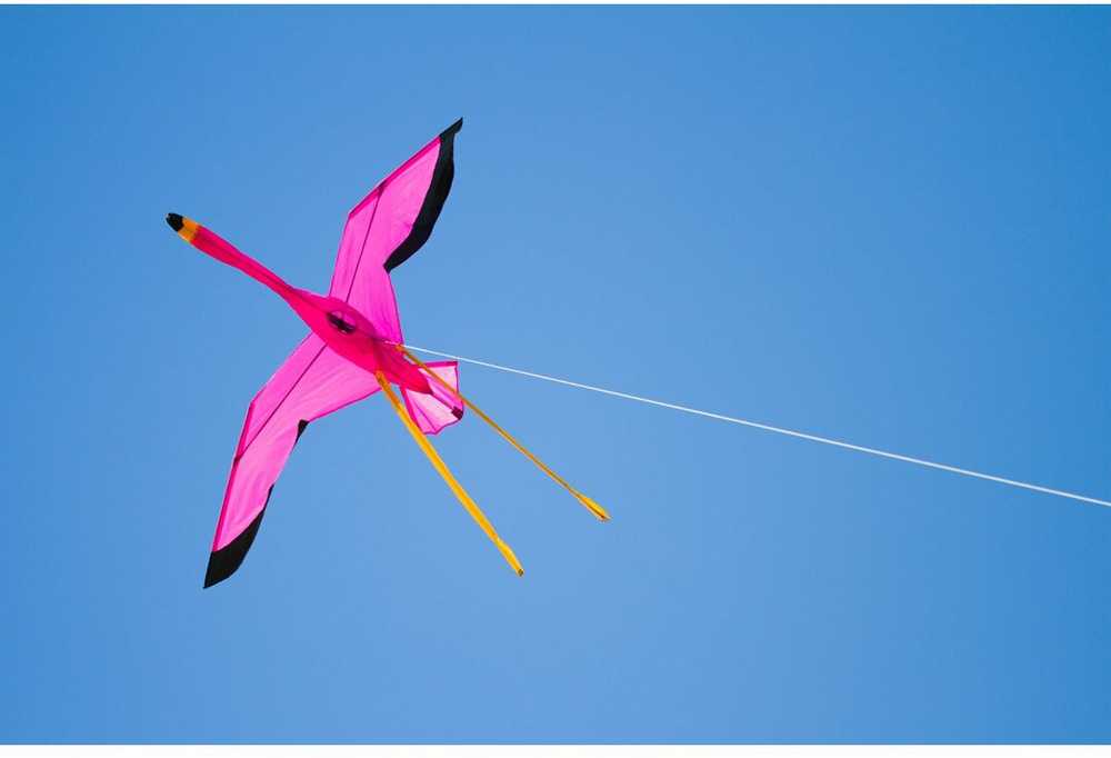 Aitvaras Flamingas 3D 100x135cm