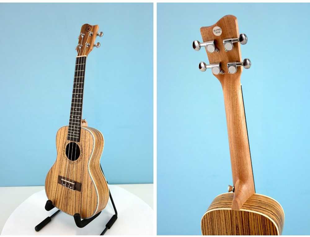 Koncertinė ukulelė Condorwood UC-2460