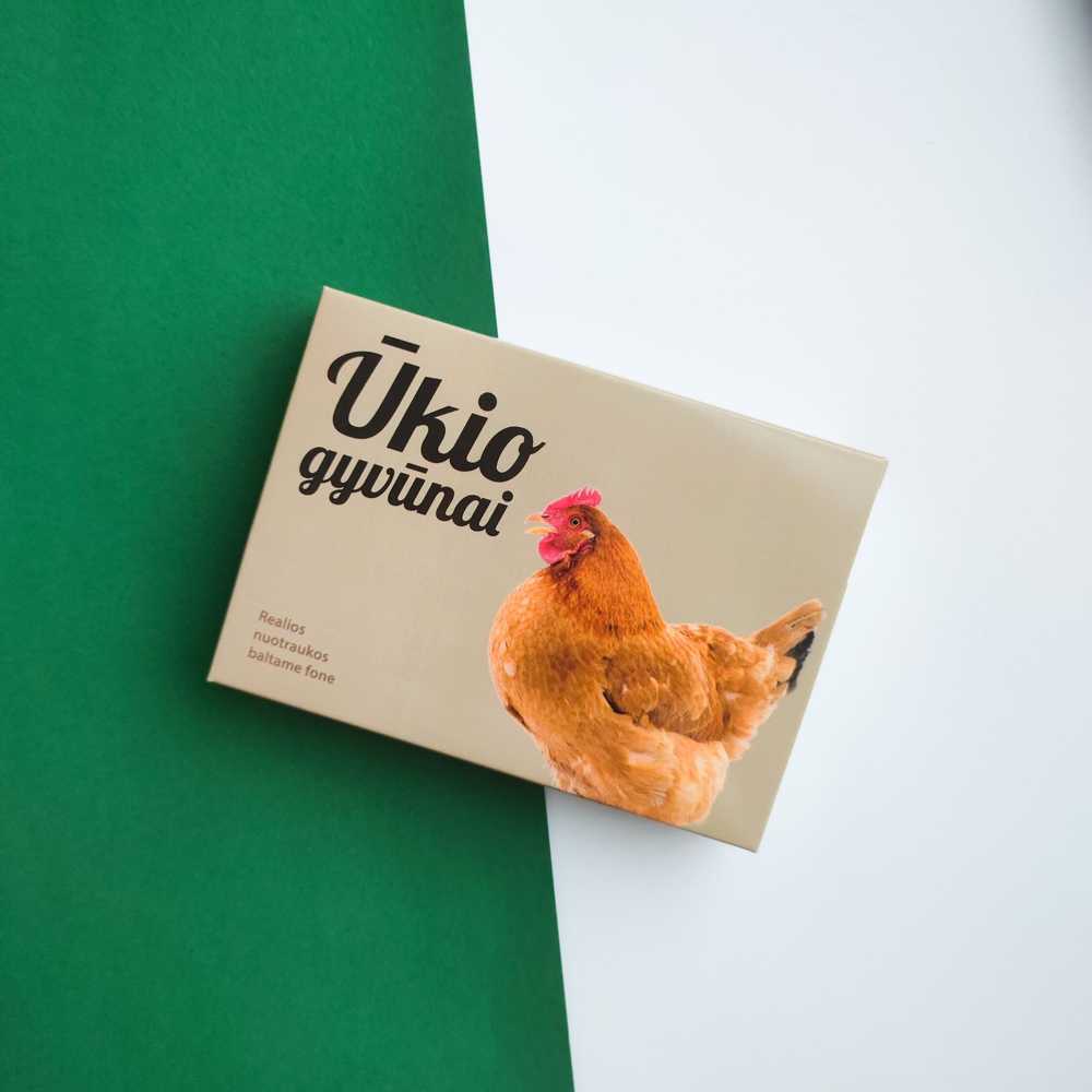 Lavinamųjų kortelių rinkinys „Ūkio gyvūnai“