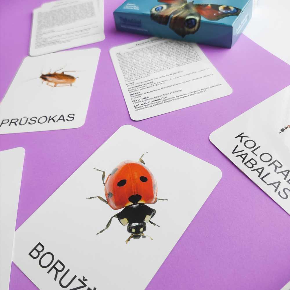 Lavinamųjų kortelių rinkinys „Vabzdžiai ir kiti nariuotakojai“
