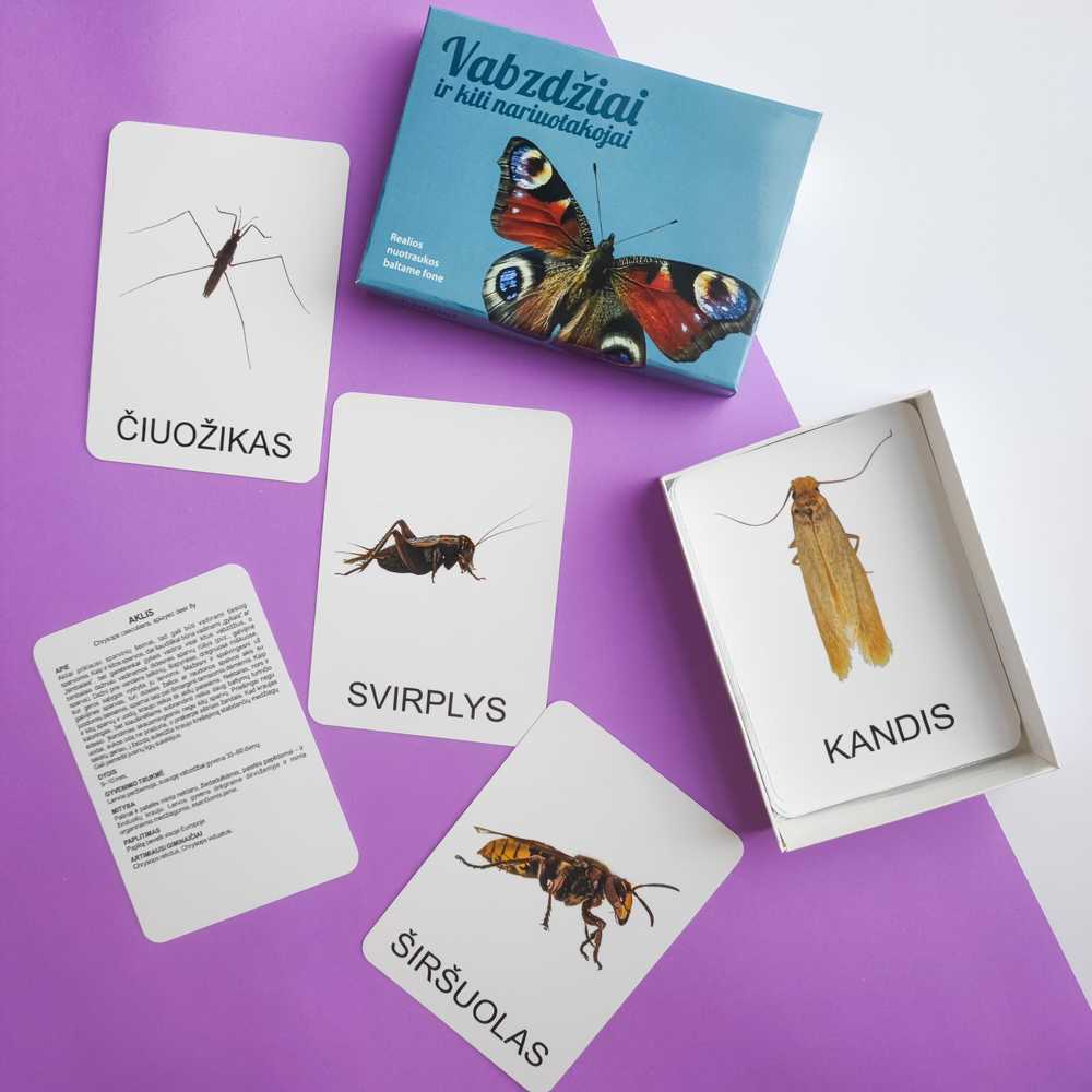 Lavinamųjų kortelių rinkinys „Vabzdžiai ir kiti nariuotakojai“
