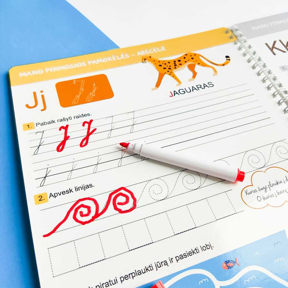 Lietuvos Kurejai Lavinamoji knyga "Mokausi skaityti ir rašyti su Skilsu, 1 dalis" (su daugkartinio naudojimo žymekliais)