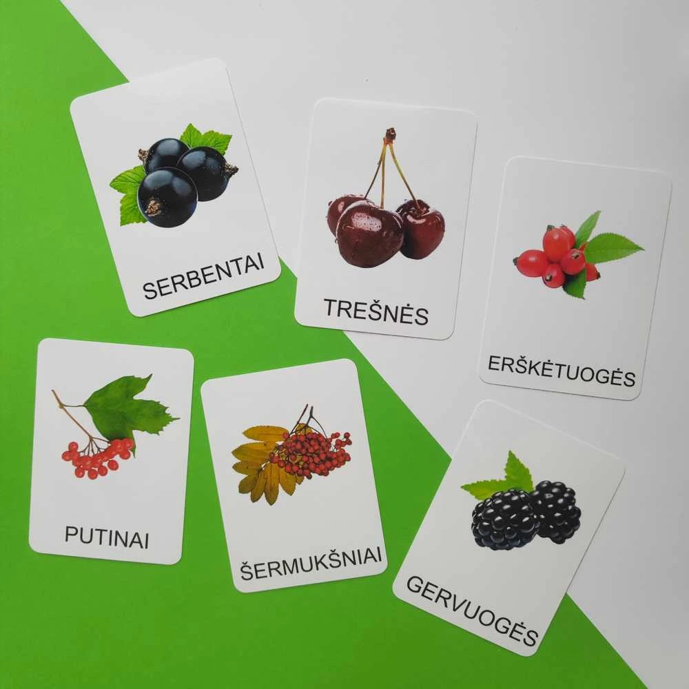 Lietuvos Kurejai Lavinamųjų kortelių rinkinys „Uogos“