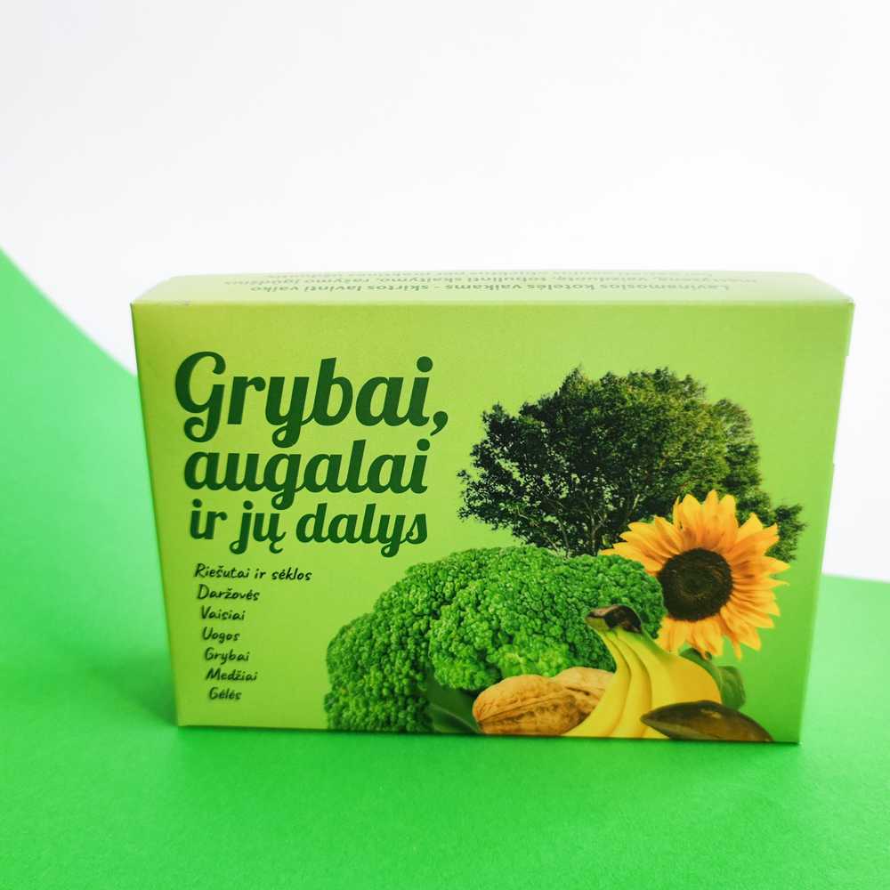 Lietuvos Kurejai Lavinamųjų kortelių rinkinys "Grybai, augalai ir jų dalys"
