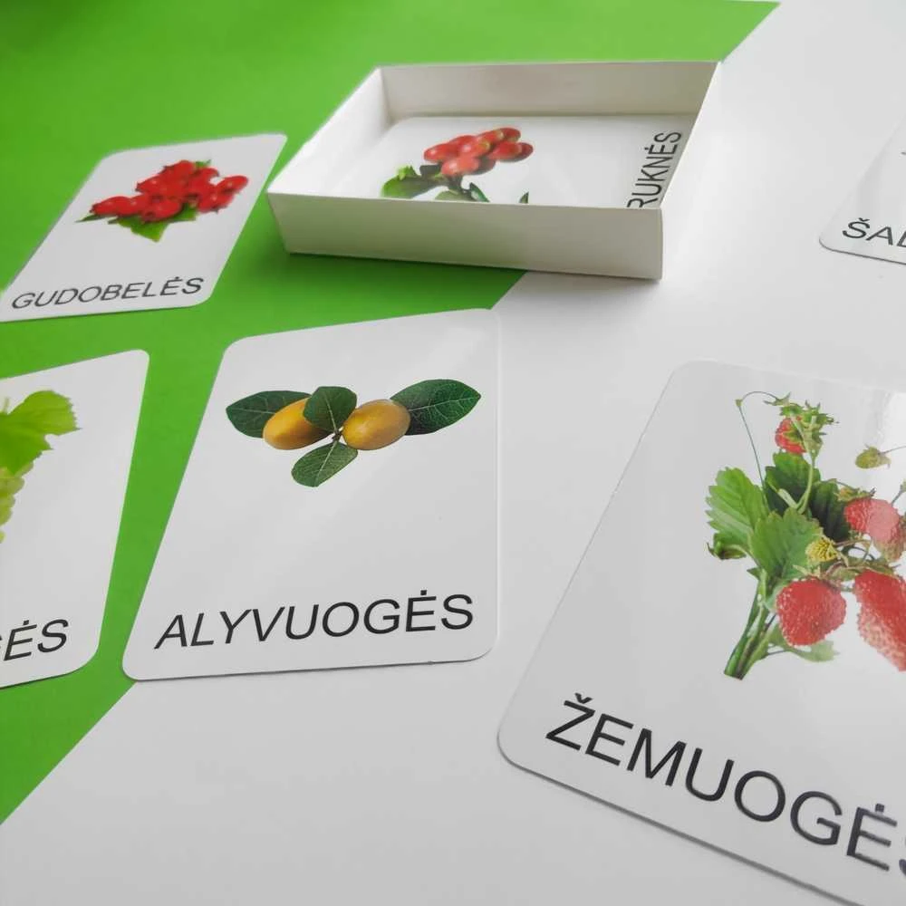 Lietuvos Kurejai Lavinamųjų kortelių rinkinys „Uogos“