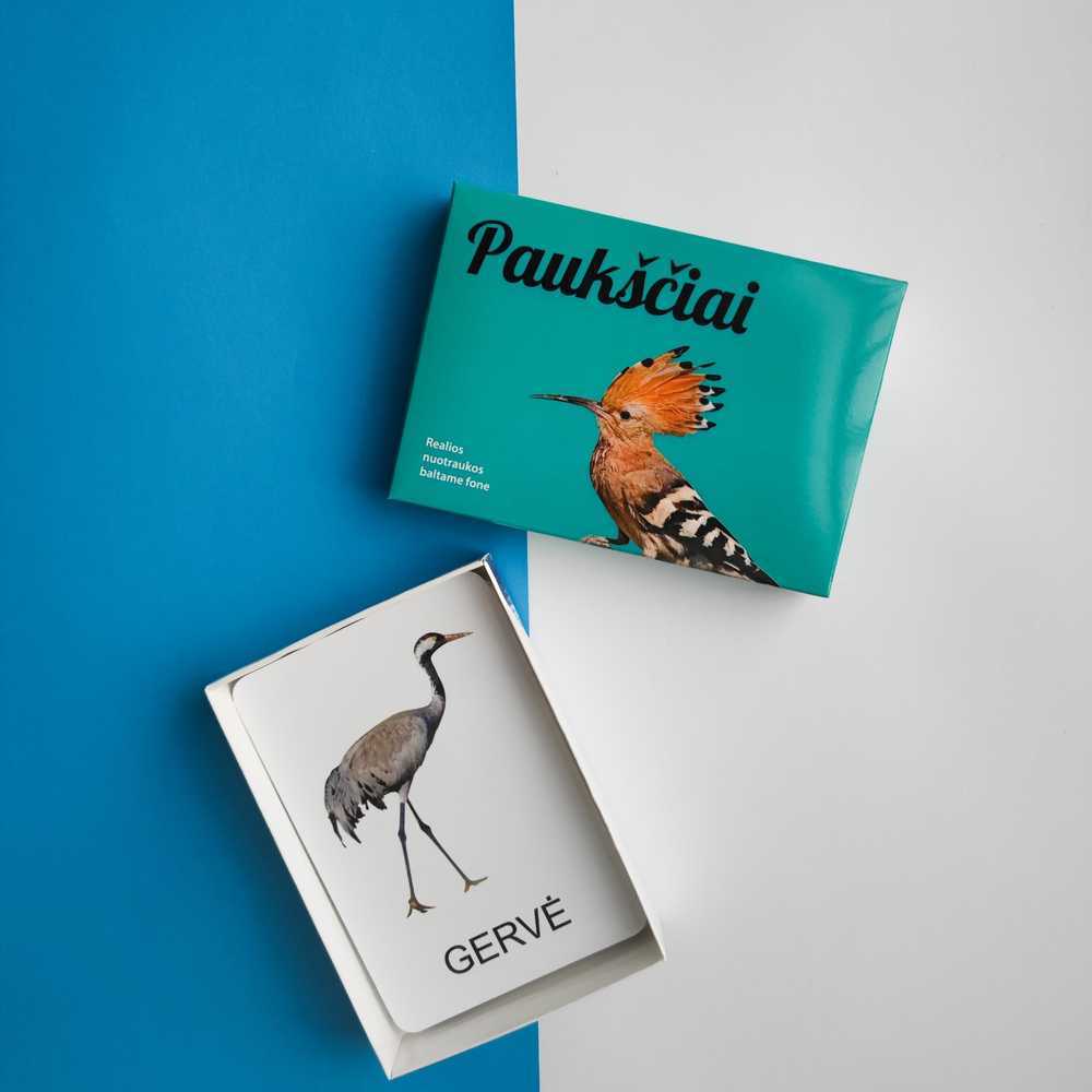 Lietuvos Kurejai Lavinamųjų kortelių rinkinys „Paukščiai“