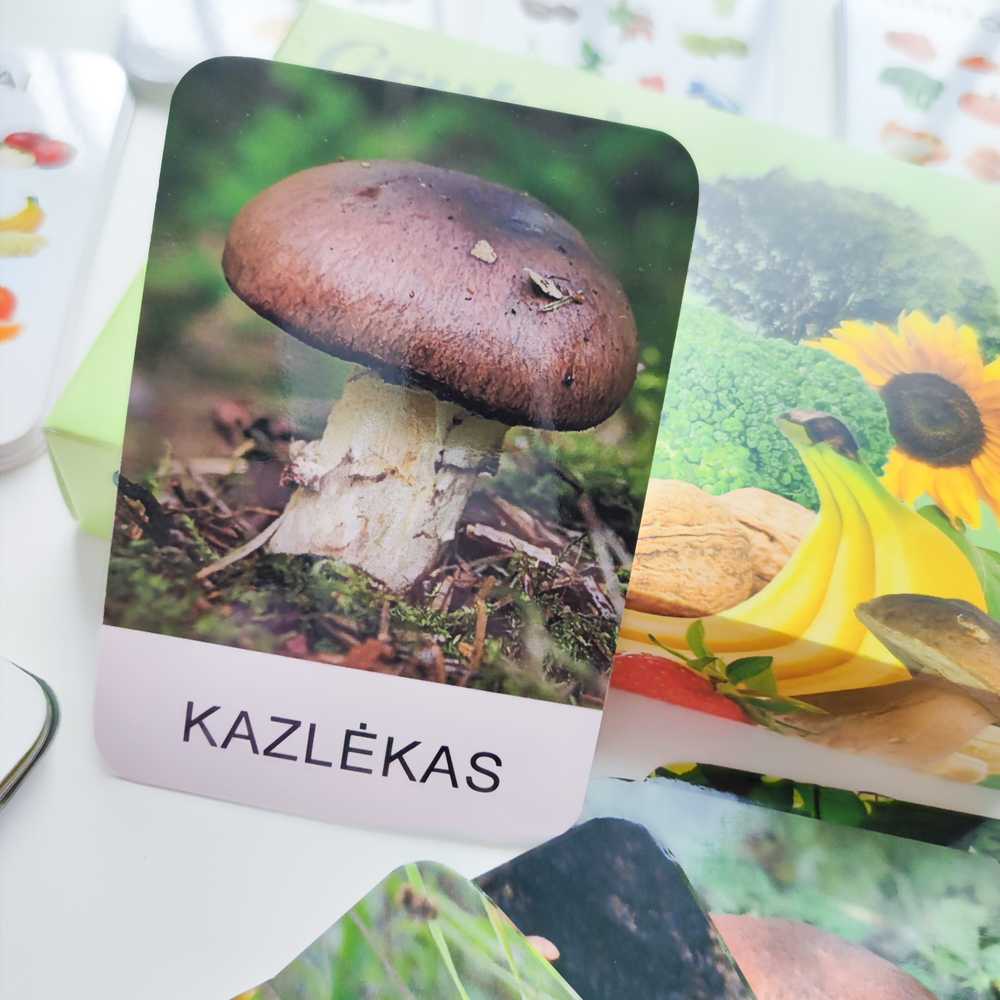 Lietuvos Kurejai Lavinamųjų kortelių rinkinys "Grybai, augalai ir jų dalys"