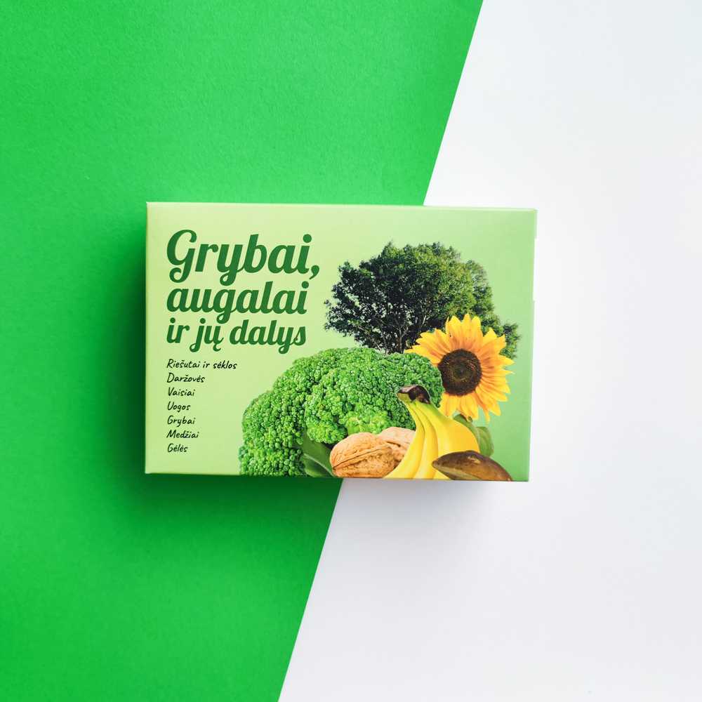 Lietuvos Kurejai Lavinamųjų kortelių rinkinys "Grybai, augalai ir jų dalys"