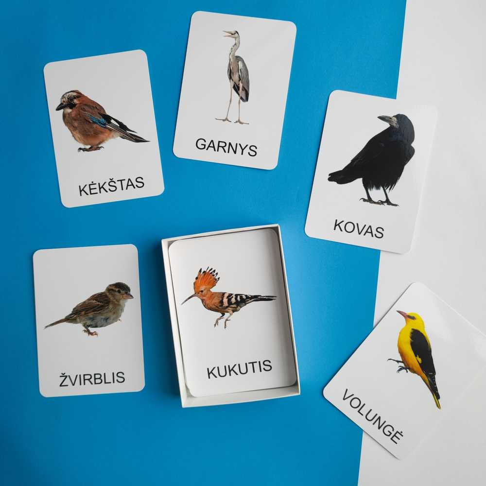 Lietuvos Kurejai Lavinamųjų kortelių rinkinys „Paukščiai“