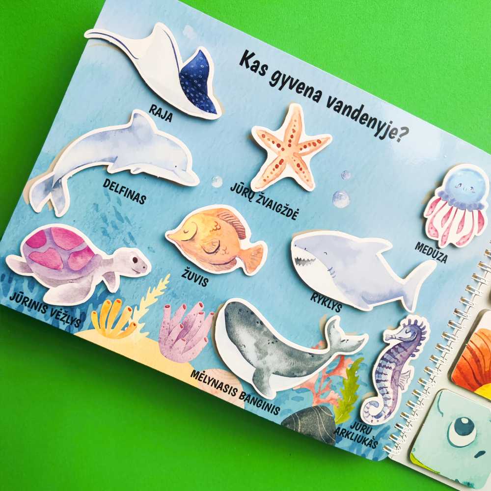 Lietuvos Kurejai Mano antra lavinamoji veiklos knyga su daugkartinio naudojimo lipdukais