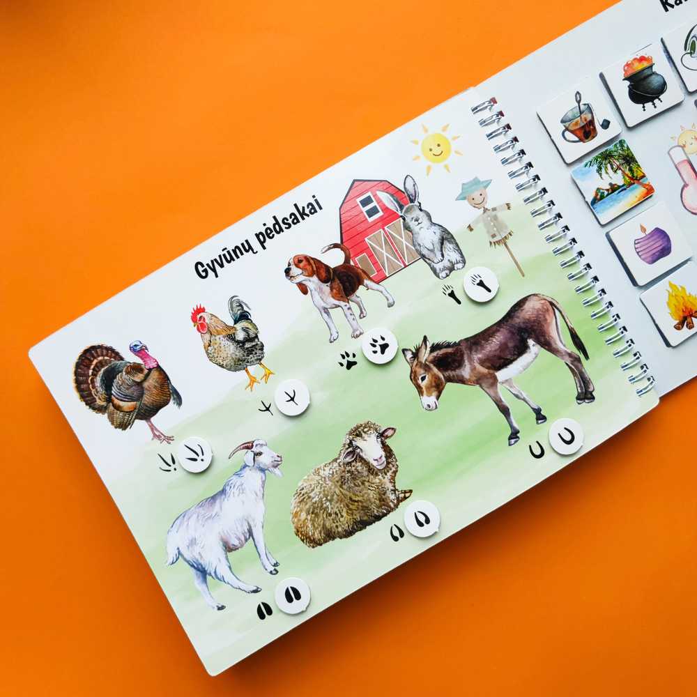 Lietuvos Kurejai Mano trečia lavinamoji veiklos knyga su daugkartinio naudojimo lipdukais