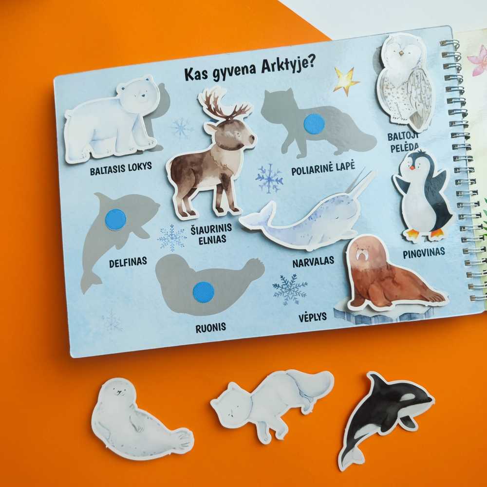 Lietuvos Kurejai Mano trečia lavinamoji veiklos knyga su daugkartinio naudojimo lipdukais