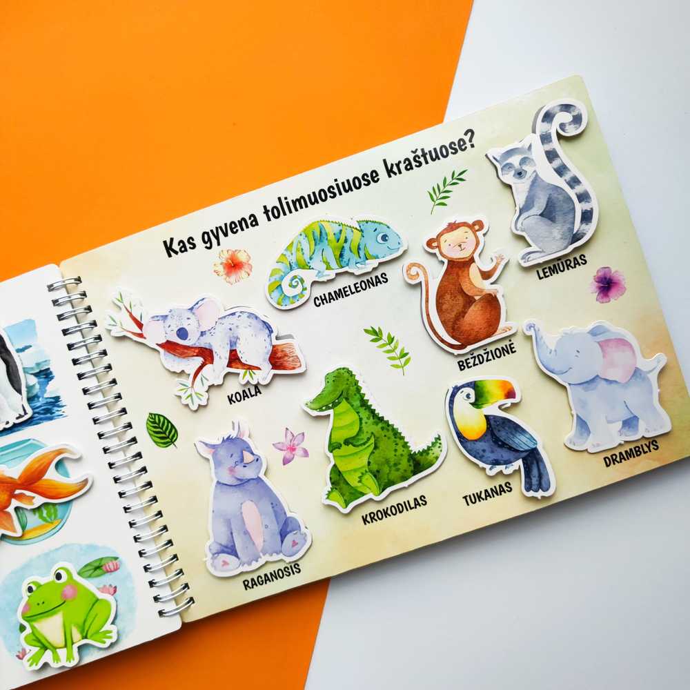Lietuvos Kurejai Mano trečia lavinamoji veiklos knyga su daugkartinio naudojimo lipdukais