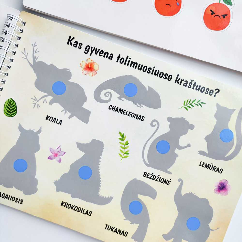 Lietuvos Kurejai Mano trečia lavinamoji veiklos knyga su daugkartinio naudojimo lipdukais