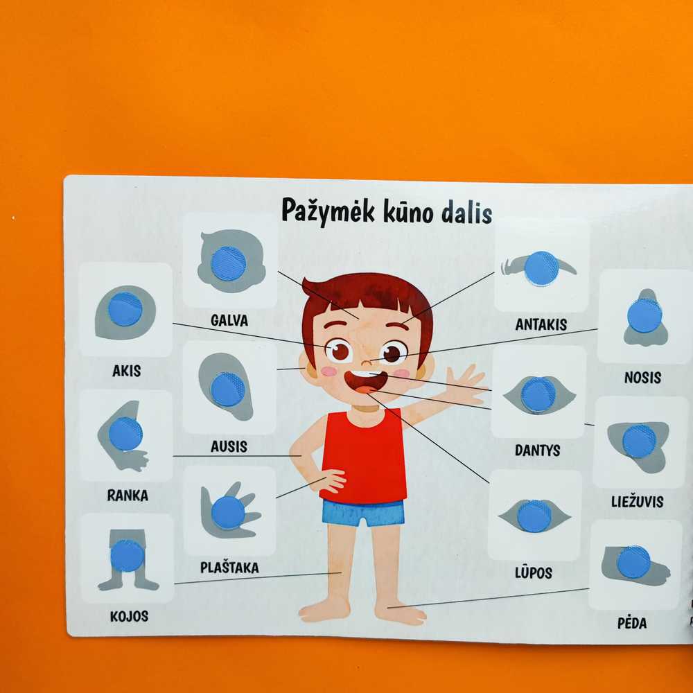 Lietuvos Kurejai Mano trečia lavinamoji veiklos knyga su daugkartinio naudojimo lipdukais
