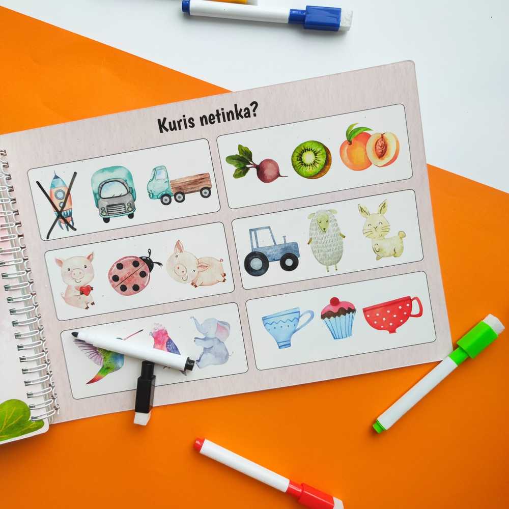 Lietuvos Kurejai Mano trečia lavinamoji veiklos knyga su daugkartinio naudojimo lipdukais