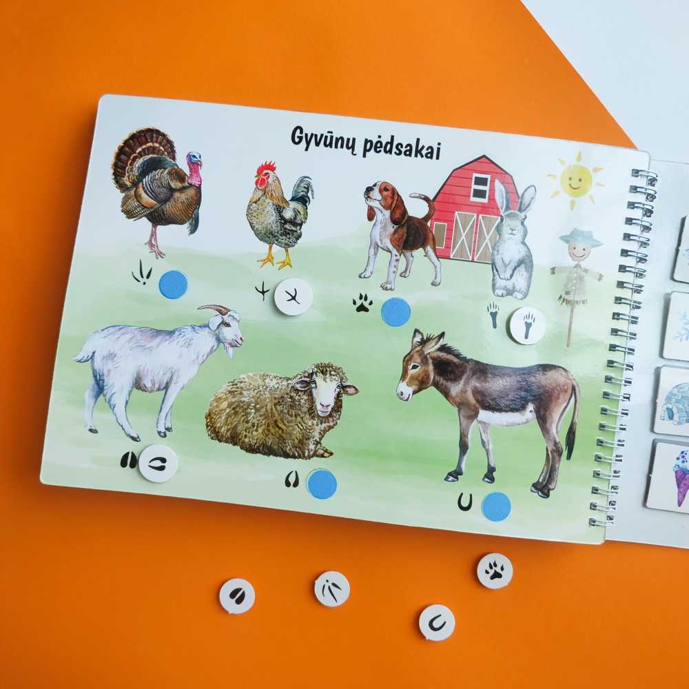 Lietuvos Kurejai Mano trečia lavinamoji veiklos knyga su daugkartinio naudojimo lipdukais