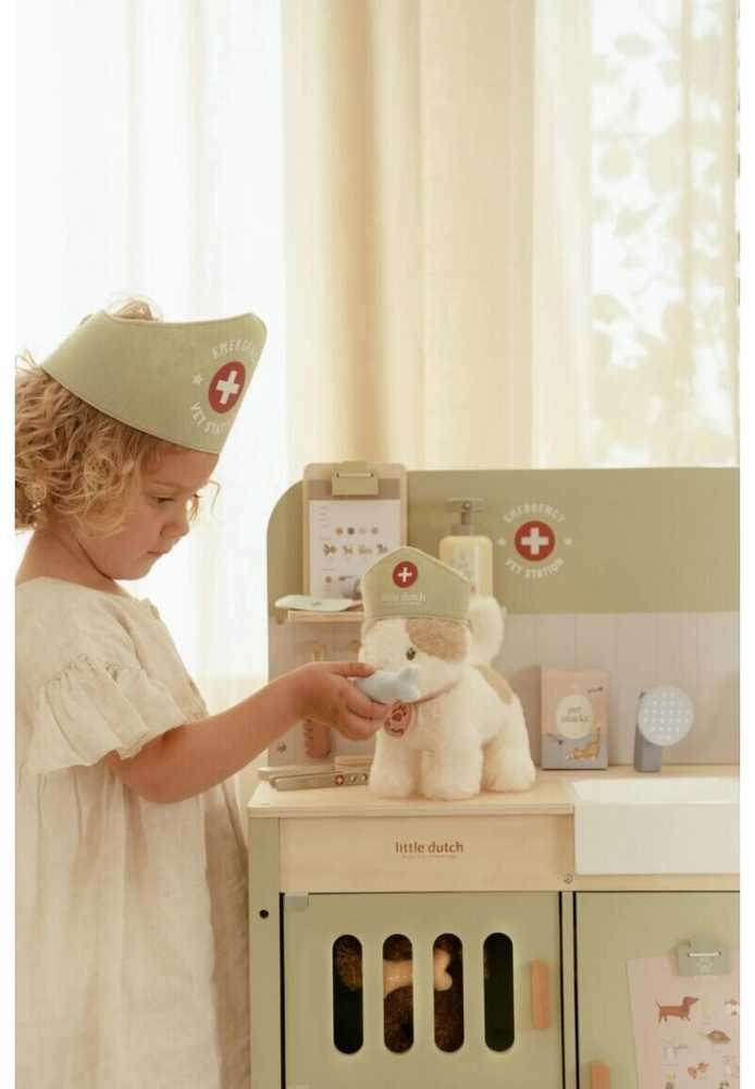 Little Dutch medinė veterinarijos klinika