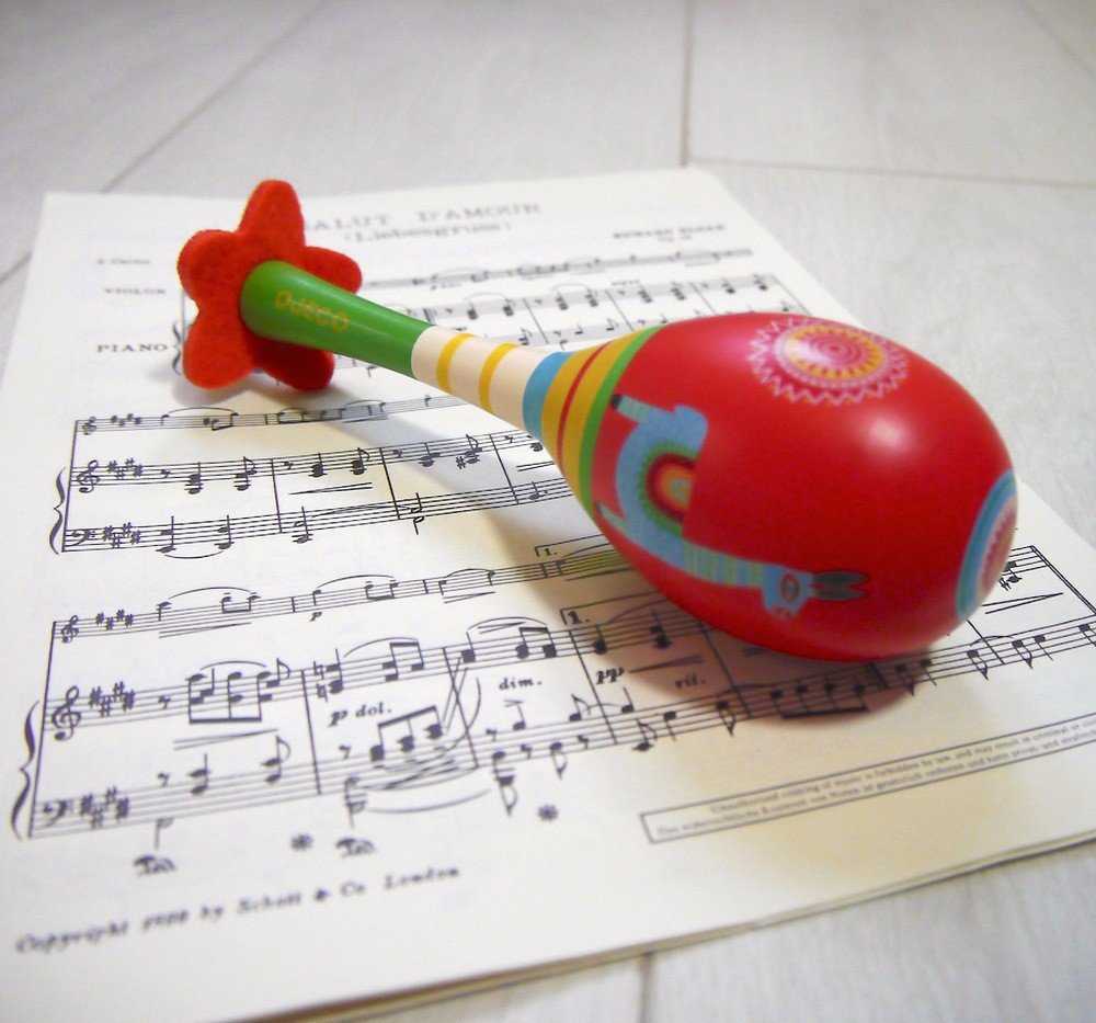 Djeco Animambo Muzikinis instrumentas - Marakasas ( DJ06008 )