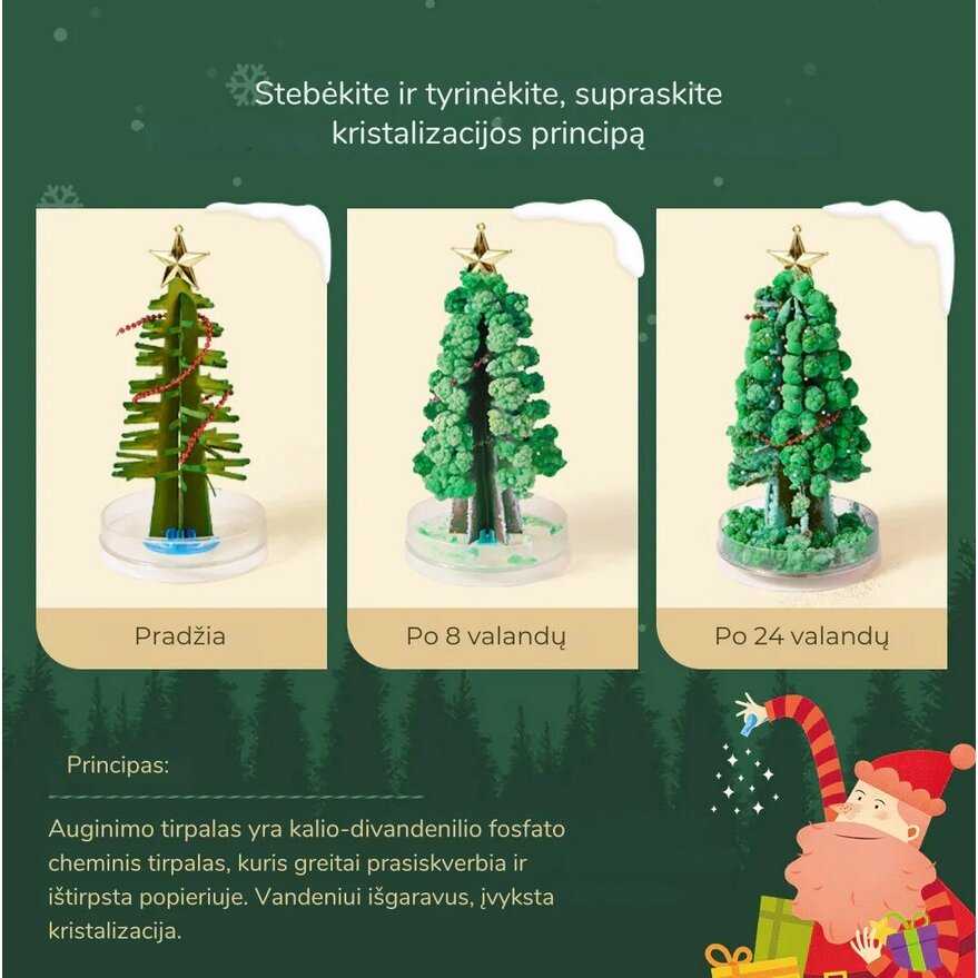 Mideer Magiškas Kalėdų medis – kristalų auginimo rinkinys