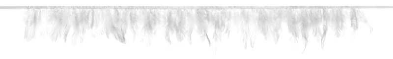 PartyDeco Girlianda Plunksnos, 1m