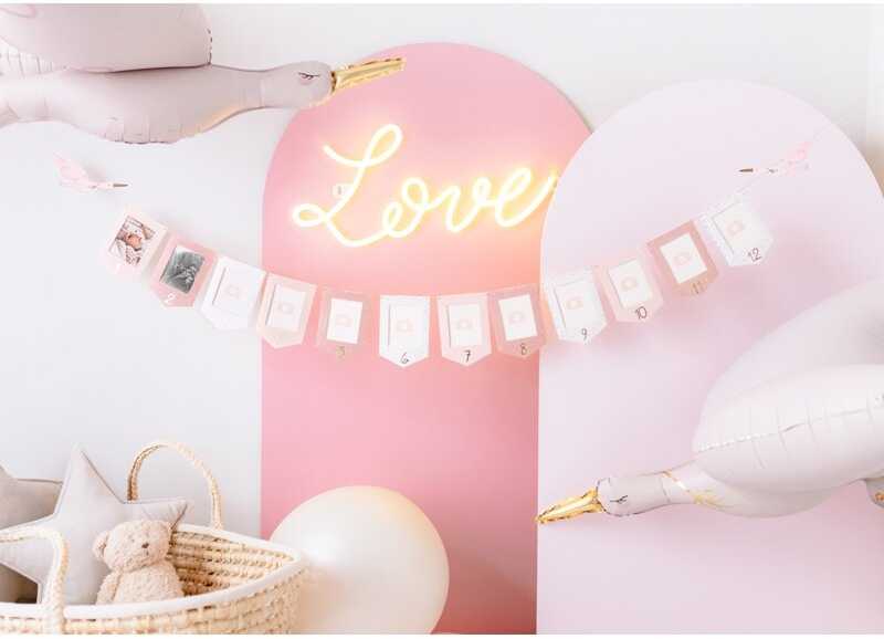 PartyDeco Nuotraukų girlianda Gandriukas, rožinė