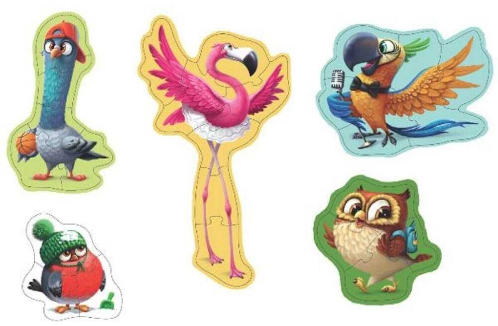 Cubika Puzzlika dėlionė "Paukščiai"