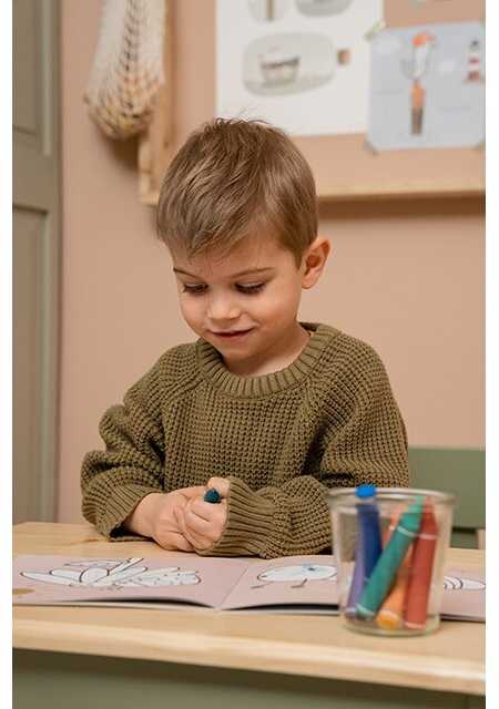 Vaškinės kreidelės Little Dutch 8vnt