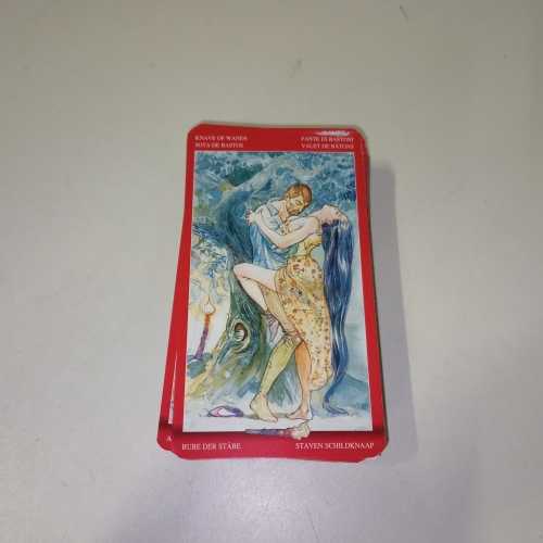 Ecost prekė po grąžinimo Llewellyn Tarot of Sexual Magic (anglų ir ispanų kalbos)