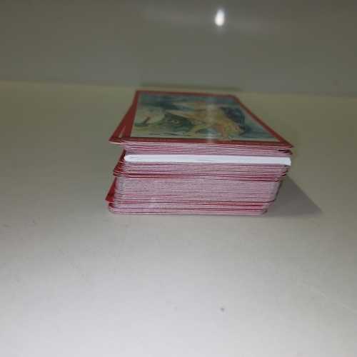 Ecost prekė po grąžinimo Llewellyn Tarot of Sexual Magic (anglų ir ispanų kalbos)