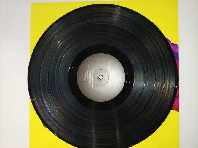 Vinilinė plokštelė Ecost prekė po grąžinimo New Order - Technique (Vinyl) (Atnaujinta)