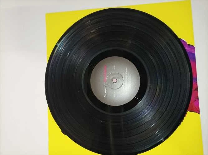 Vinilinė plokštelė Ecost prekė po grąžinimo New Order - Technique (Vinyl) (Atnaujinta)