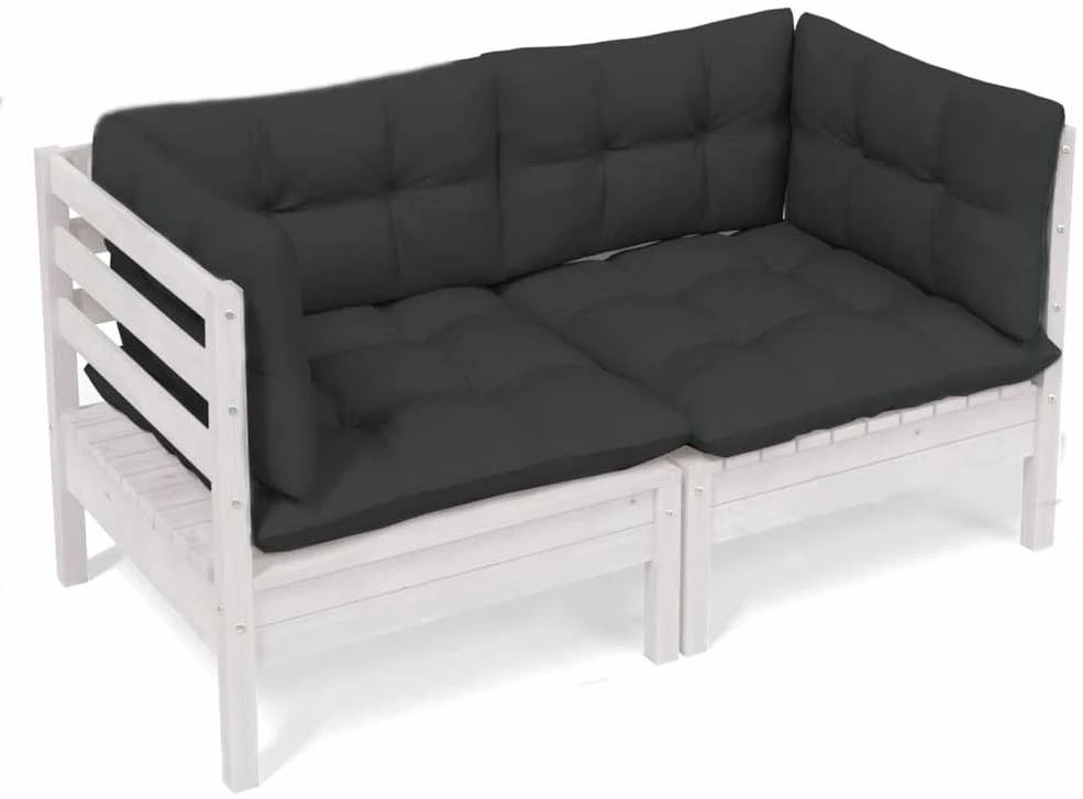 Dvivietė sodo sofa su antracito pagalvėlėmis, pušies masyvas