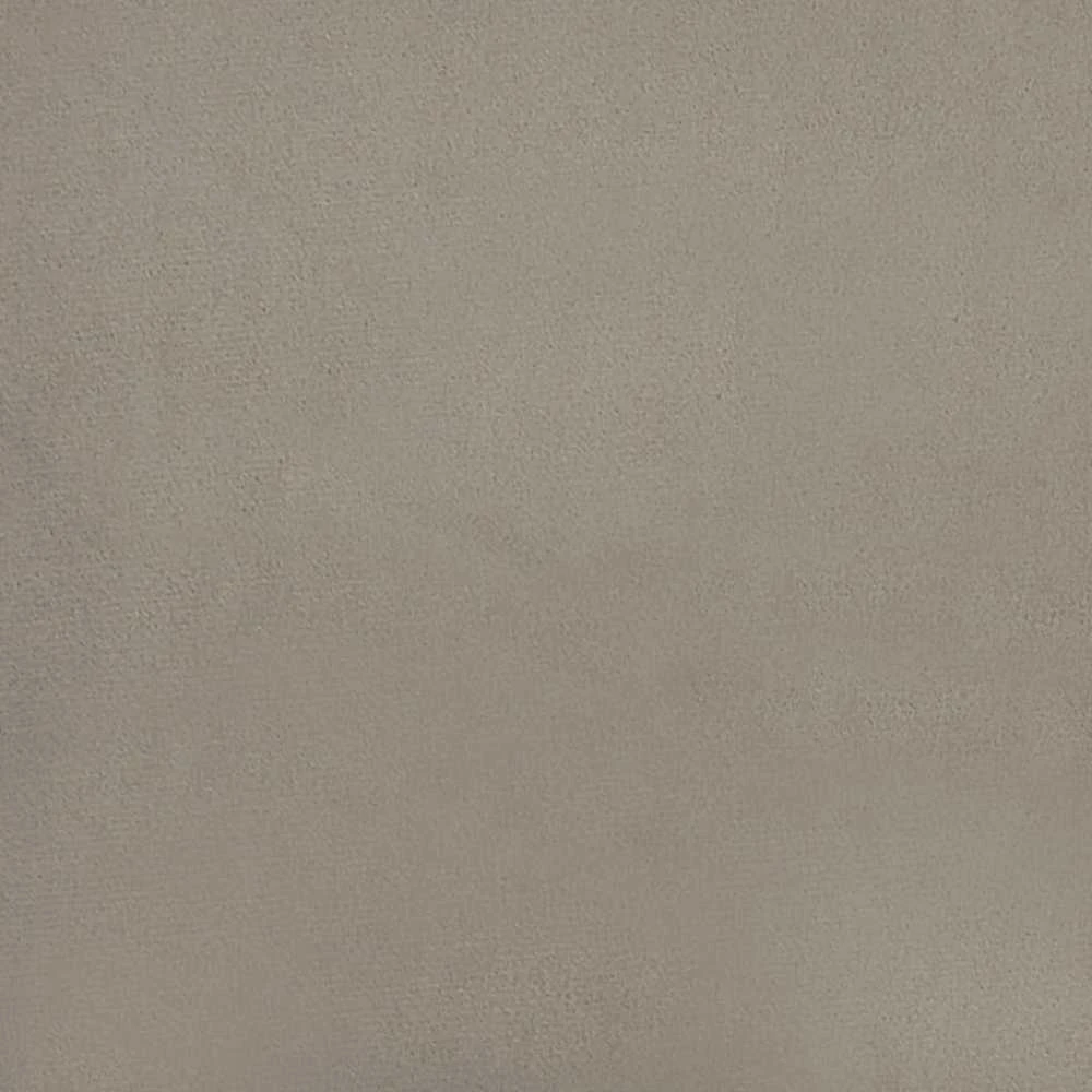 Fotelis Poilsio kėdė, šviesiai pilkos spalvos, aksomas