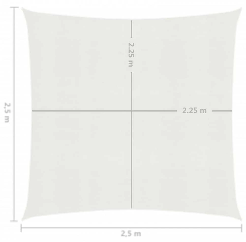 Uždanga nuo saulės, baltos spalvos, 2,5x2,5m, HDPE, 160g/m²