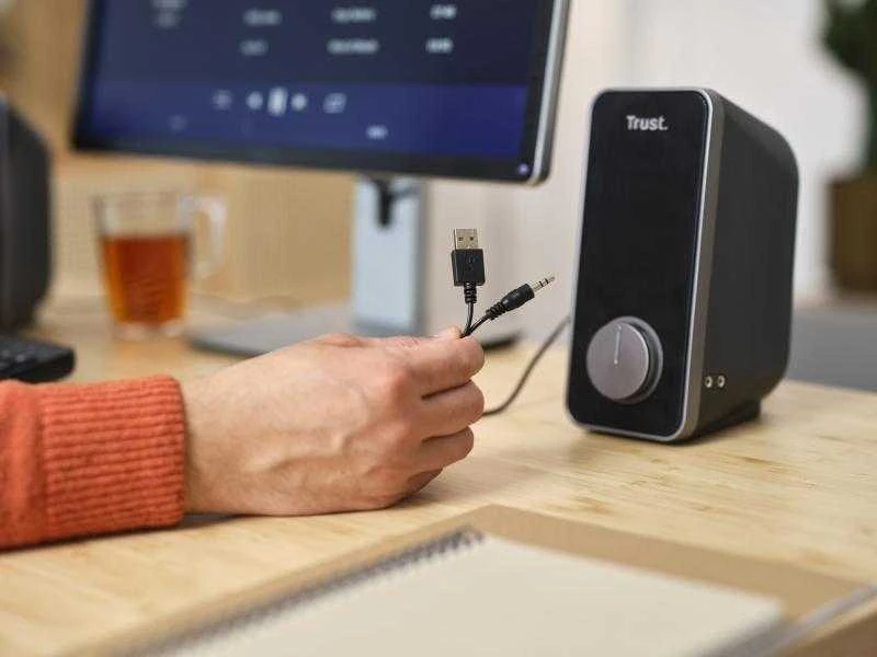 Kompiuterio kolonėlės Computer speaker Trust Arys 20179 (Juodas)