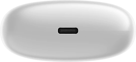 Hator ausinių dėklo USB-C jungtis